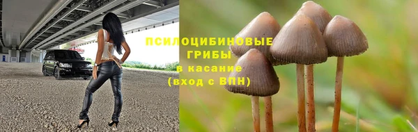 МДПВ Арсеньев