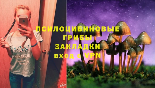 первитин Армянск