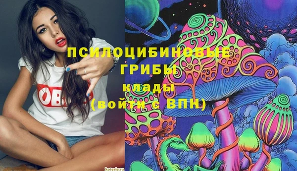 первитин Армянск