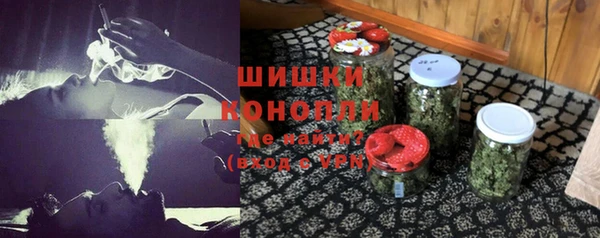 ГАЛЛЮЦИНОГЕННЫЕ ГРИБЫ Аркадак