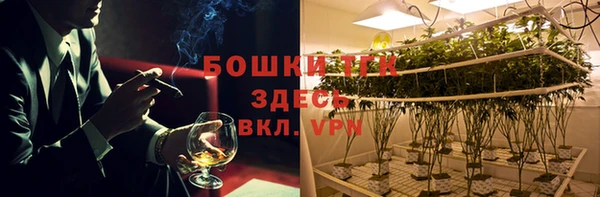ГАЛЛЮЦИНОГЕННЫЕ ГРИБЫ Аркадак